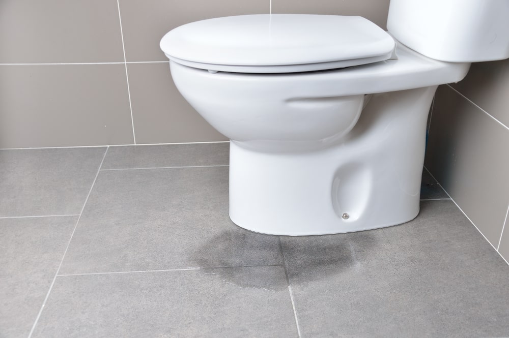 <span class="title">トイレ水漏れの原因と対処法を詳しく紹介</span>